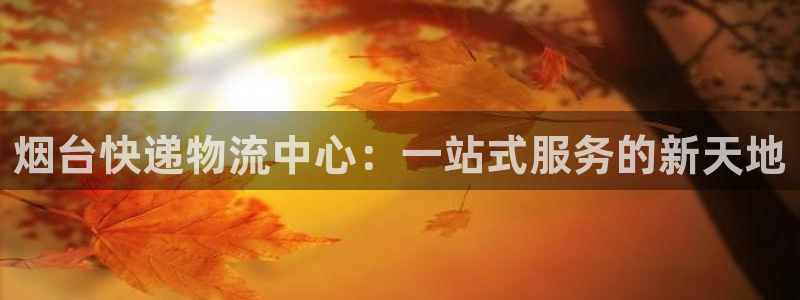 优游国际官网入口app：烟台快递物流
