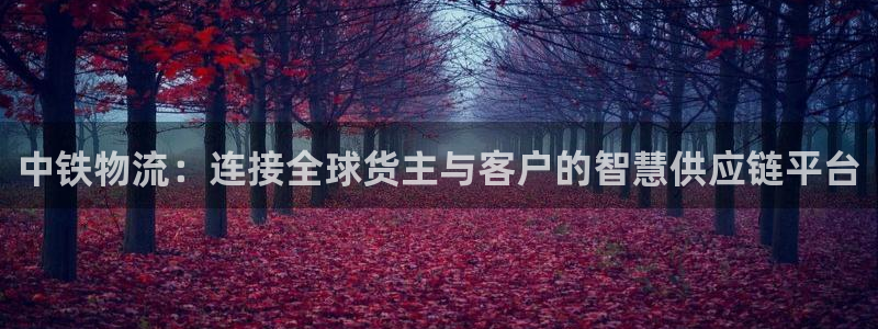 ,优游国际登录流程：中铁物流：连接全
