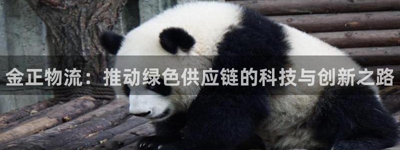 ,优游国际网赌有什么风险：金正物流：