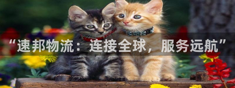 ,优游国际预测：“速邦物流：连接全球