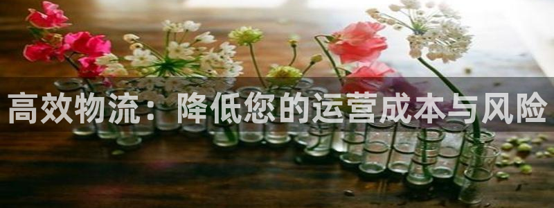 ,优游国际充值不到账：高效物流：降低