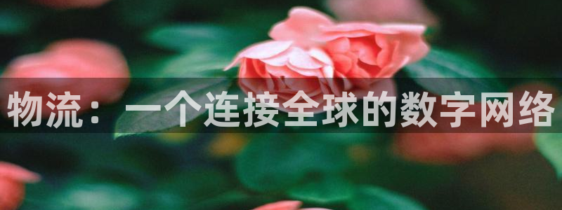 ,优游国际娱乐官网网页：物流：一个连