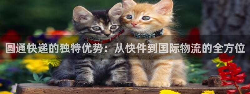 ,优游国际网赌案件：圆通快递的独特优