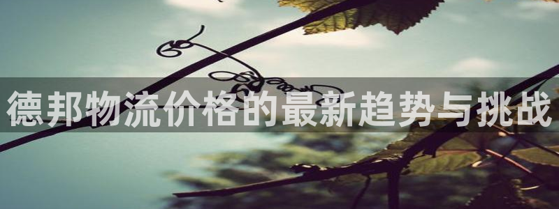 ,优游国际v6能卖多少：德邦物流价格
