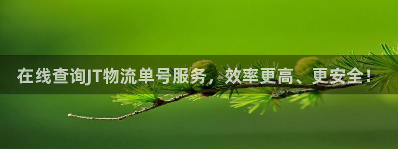 ,优游国际ccm官网版：在线查询JT