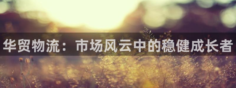 ,优游国际是正规平台吗：华贸物流：市