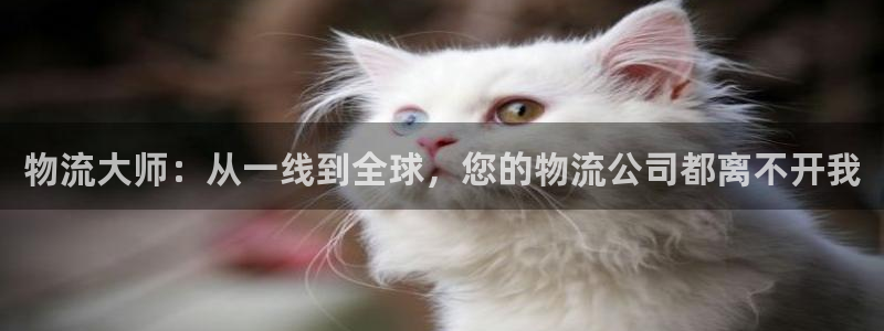 优游国际官方网站是多少：物流大师：从一线到全球，您的物流公司