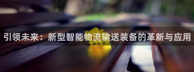 ,优游国际取保：引领未来：新型智能物