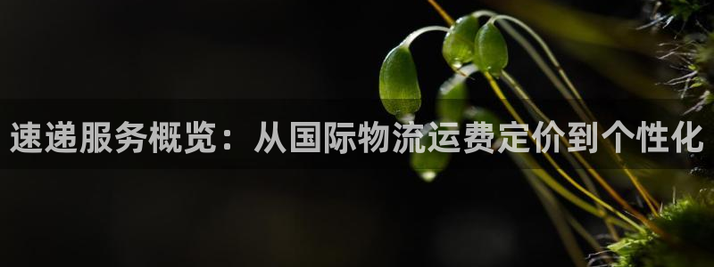 ,优游国际如何看012路计划：速递服