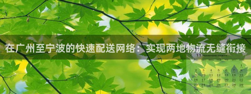 ,优游国际自行车图片：在广州至宁波的