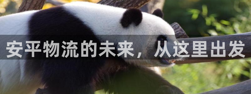 ,优游国际加拿大：安平物流的未来，从这里出发