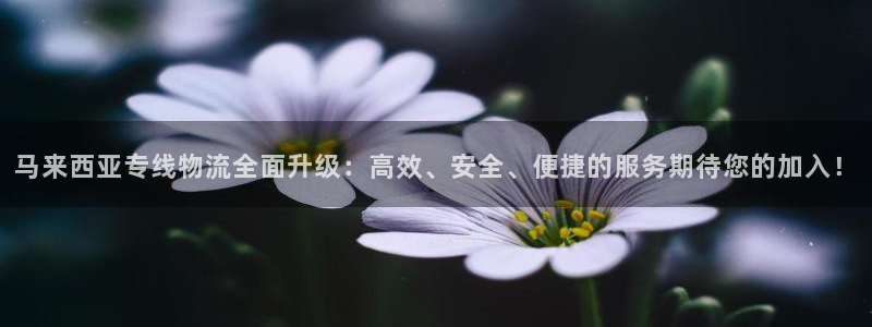 优游国际官网入口:马来西亚专线物流全