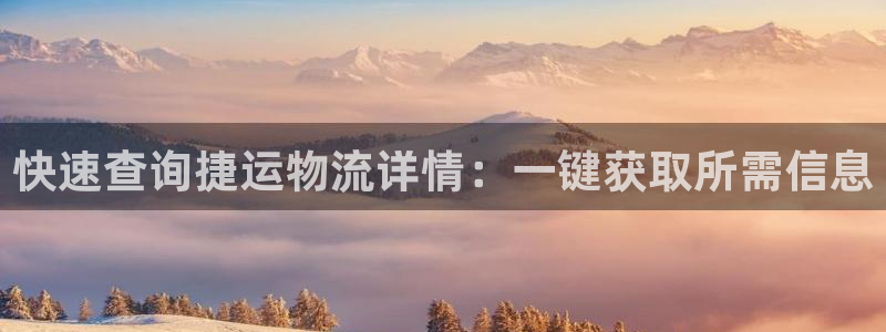 ,优游国际二维码：快速查询捷运物流详情：一键获取所需信息