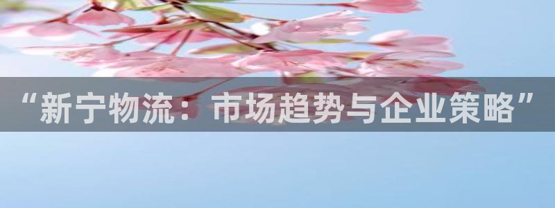,优游国际官方版正版:“新宁物流:市