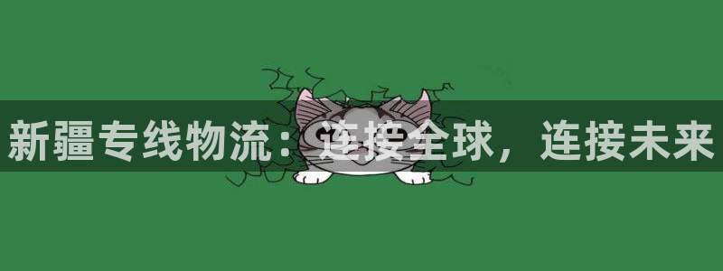 ,优游国际充值方式：新疆专线物流：连