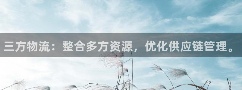 ,优游国际软件是什么