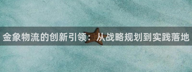 ,优游国际登录用户名登录不上：金象物流的创新引领：从战略规划