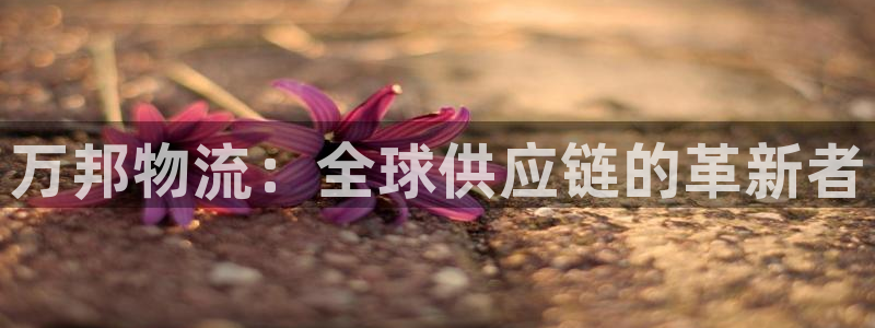 ,优游国际人工客服电话是什么:万邦物