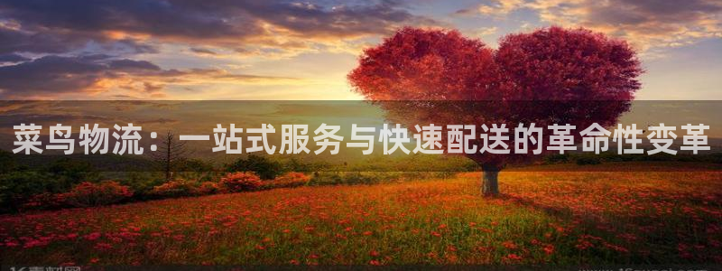 优游国际官网入口o